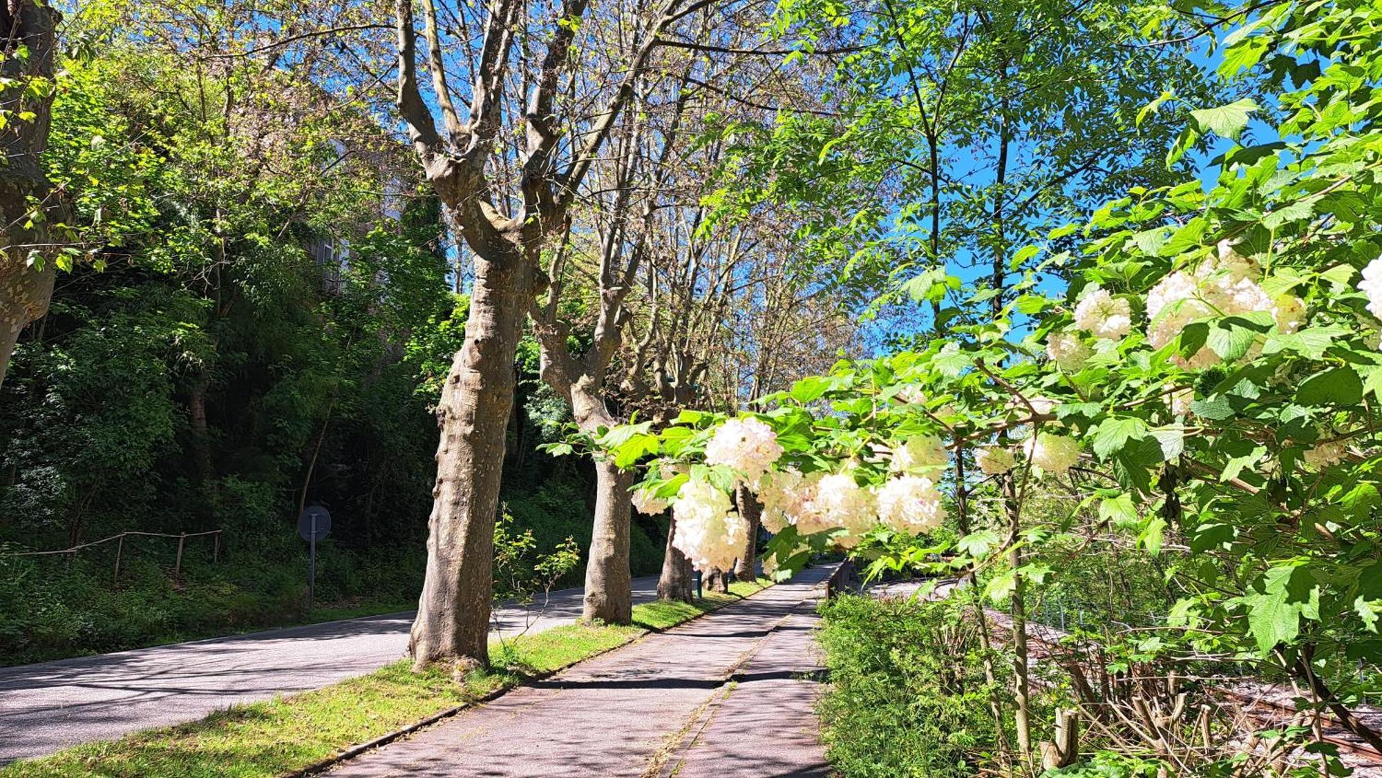 Vila Du Doubs Au Doux Lamastre Exteriér fotografie